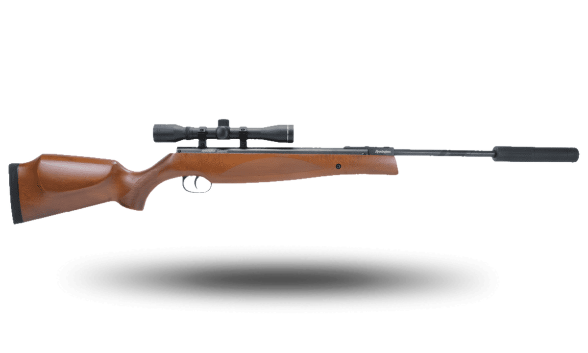 Remington Sabre Air Rifle - Ronnie Sunshines